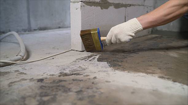 Top rated local Interior Drainage System specialists in Berry, AL